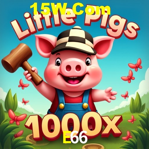 Flash Promotion E66
